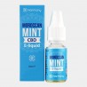 Moroccan Mint CBD Harmony E-Liquid