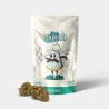 Flores CBD GB Outdoor 'Blue Cheese' paquete