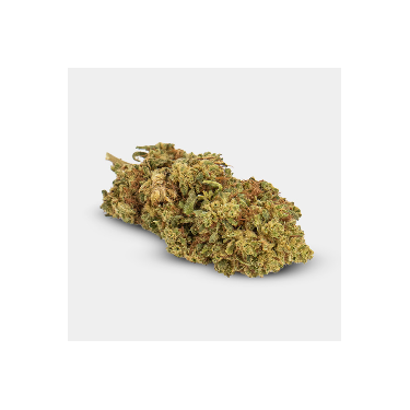 Flores CBD GB Outdoor 'Amnesia'