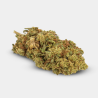 Flores CBD GB Outdoor 'Amnesia'