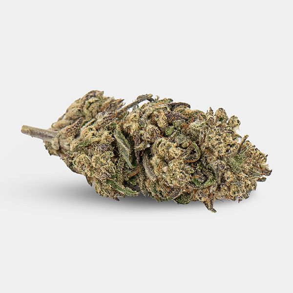 Flores CBD KEMA 'Plutonium' | MejorCBD