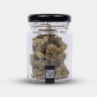 Flores CBD Marley Kush Cocori Kush