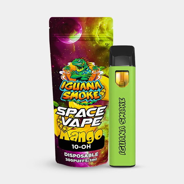 View Vaper 10-OH Space Mango