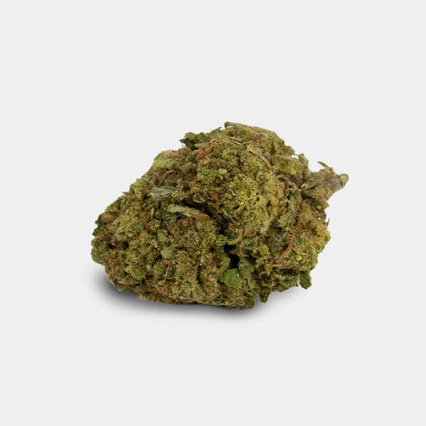 Flores CBD GB Outdoor 'Moby Dick'
