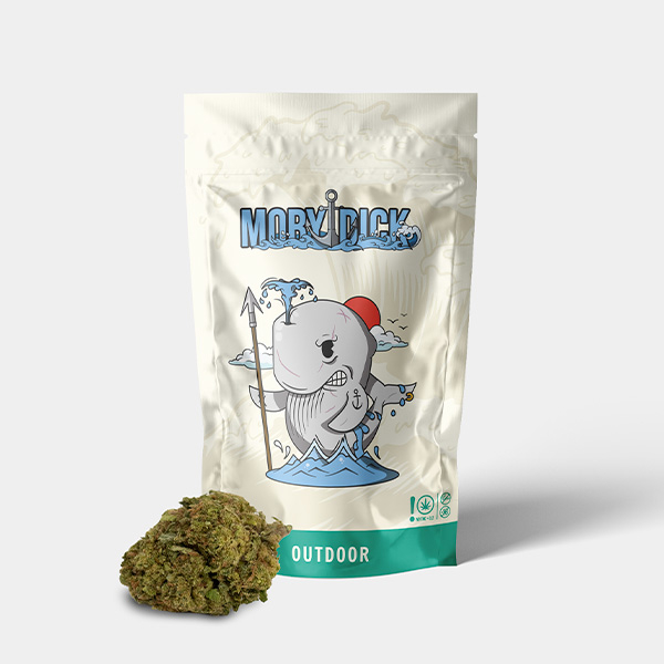 View Flores CBD GB Outdoor 'Moby Dick'