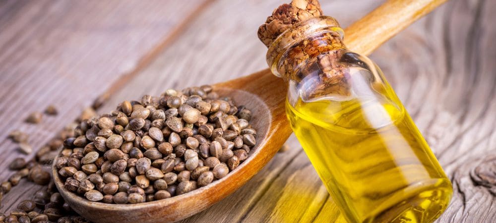 Frascos de cristal con aceite de semilla de cáñamo virgen junto a semillas crudas y hojas de cáñamo sobre fondo de piedra.