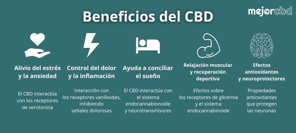 Infografía sobre los beneficios de fumar CBD: alivio del estrés, control del dolor, ayuda para el sueño, relajación muscular y efectos antioxidantes.