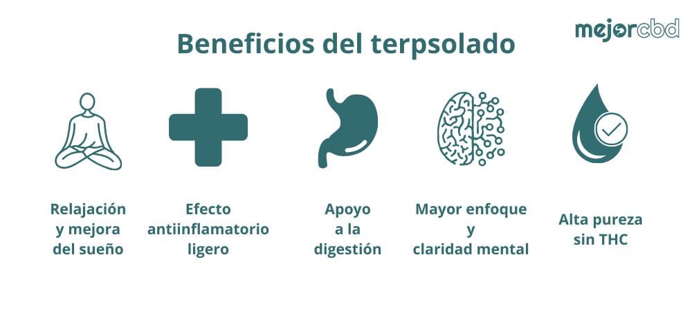 Infografía detallada que resume los principales beneficios del Terpsolate de CBD para el bienestar integral.