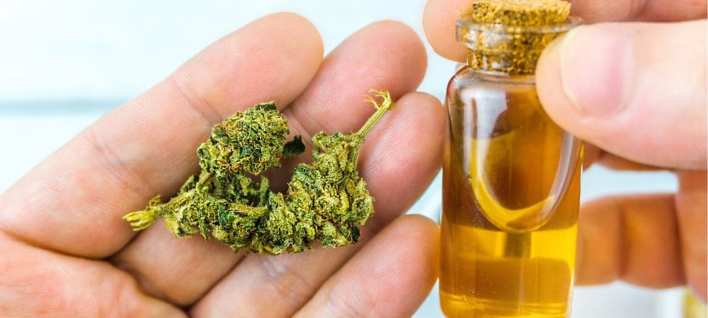 Comparativa visual entre la materia prima (flor de cáñamo) y el producto final tras aprender como hacer aceite de cbd casero.