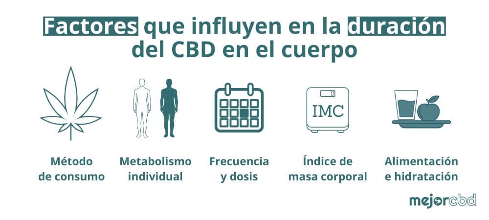 Gráfico explicativo con los 5 factores principales (IMC, dosis, metabolismo, etc.) que definen cuanto dura el cbd en el cuerpo.