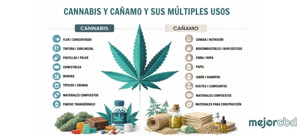 múltiples usos del cannabis y cañamo