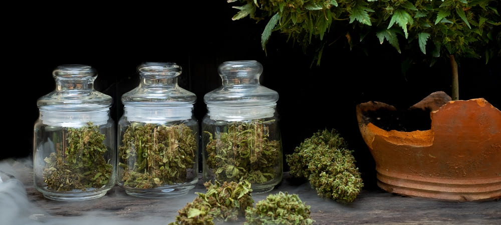 que son los cannabinoides