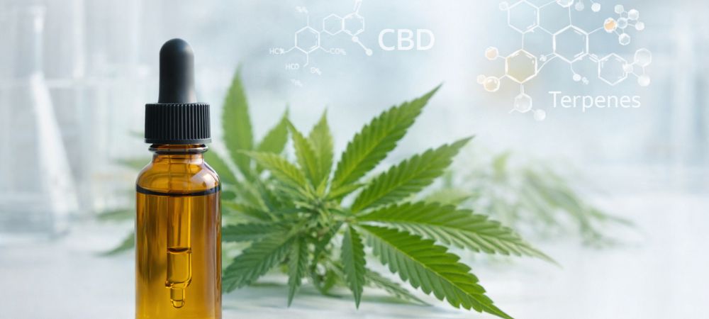 Aceite de CBD con terpenos naturales junto a hojas de cannabis, ilustrando su composición y origen vegetal