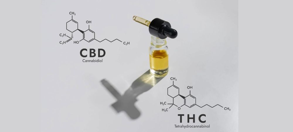 Diferencias entre CBD y THC representadas mediante sus estructuras químicas y un frasco de aceite de cannabis con gotero