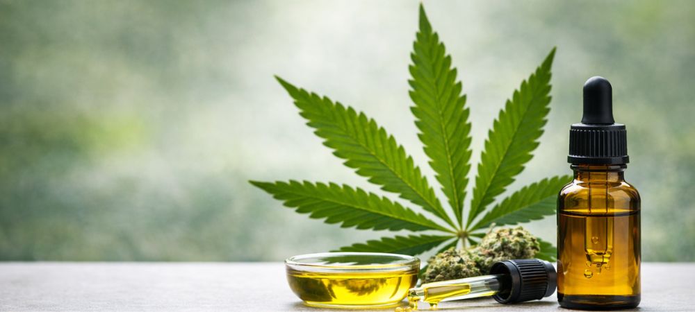 Aceite de cannabis con hoja de marihuana rico en cannabinoides como CBD y CBG