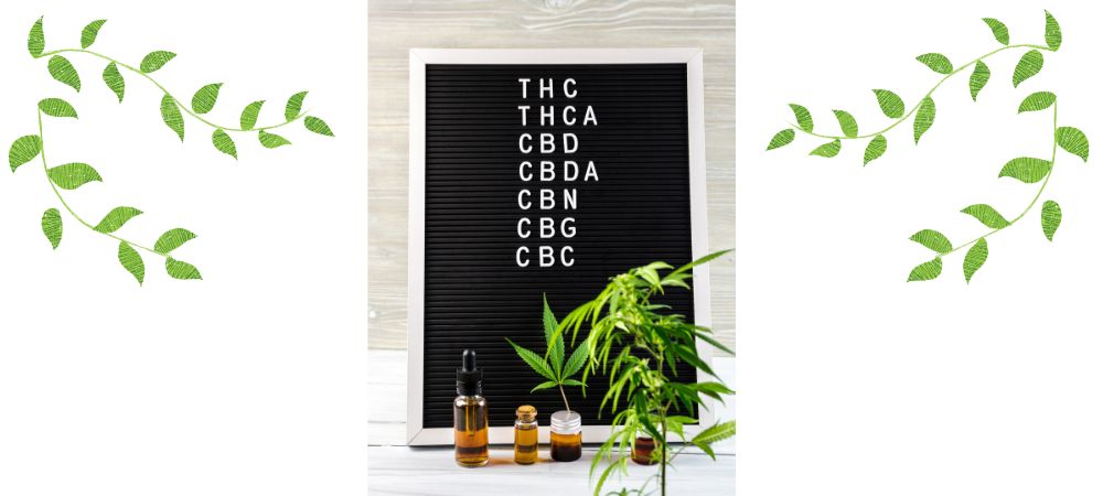 Lista de cannabinoides del cannabis como THC, CBC, CBDA, CBN, CBD y CBG