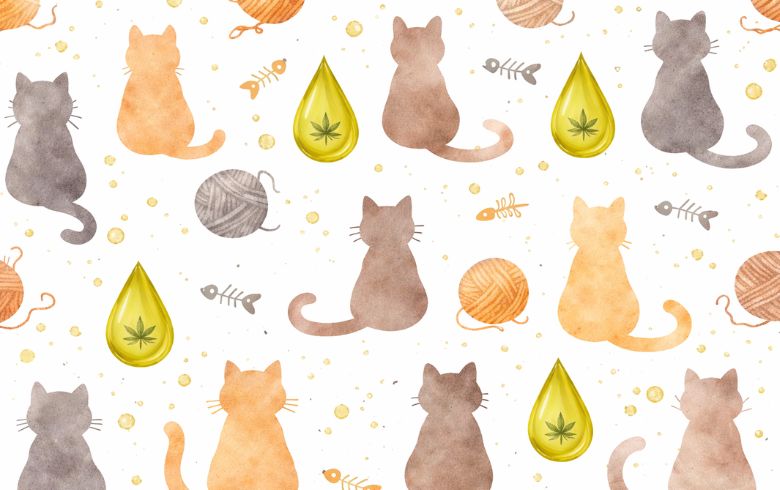 cbd para gatos