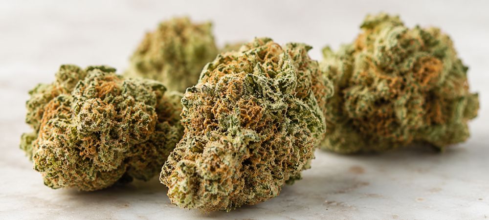 Flores de CBD con textura compacta, formato más natural, aromático y visual del CBD