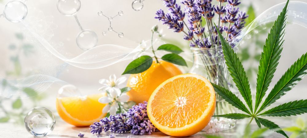 Terpeno aromático del CBD representado con naranja, lavanda y cannabis