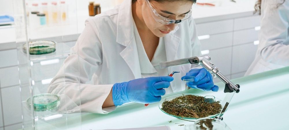 análisis en laboratorio de una muestra para demostrar efecto séquito